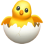hatching_chick emoji